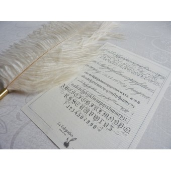 Penna calligrafica piuma di struzzo - Bianca