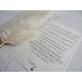 Stylo calligraphie plume d'autruche - Blanc