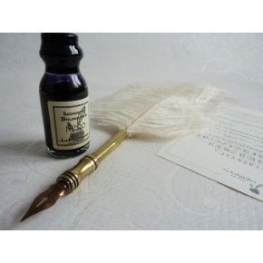 Penna calligrafica piuma di struzzo - Bianca