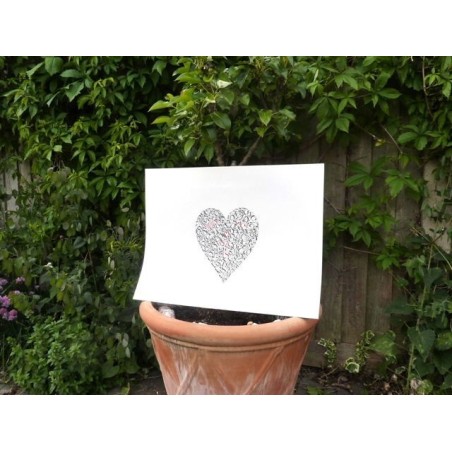 Hjertet i min familie