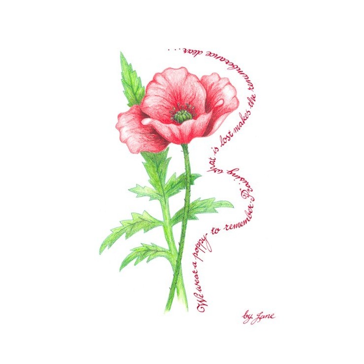 Remembrance Poppy lykønskningskort af Calligraphy Arts