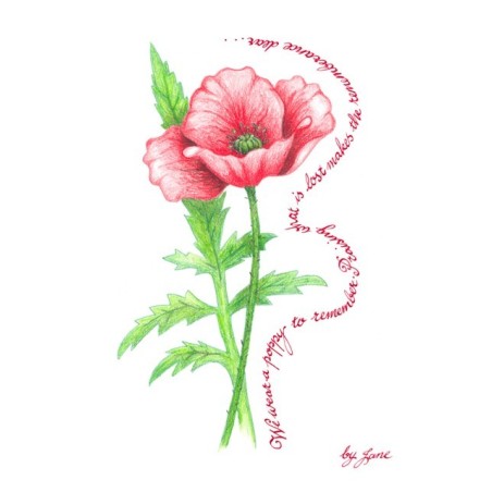 Remembrance poppy greeting card by Calligraphy Arts