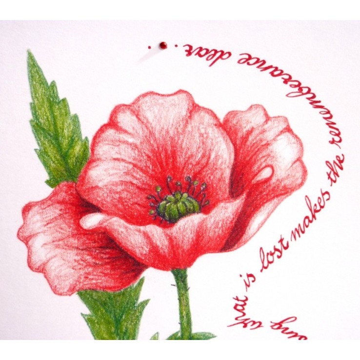 Gedenktag - Mohn Gedenktag - Mohn