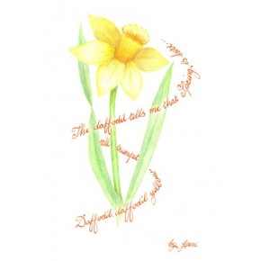 Spring Daffodil