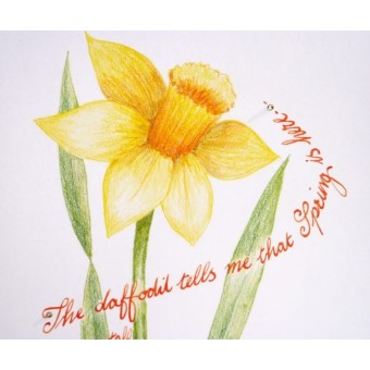 Lente daffodil kaart door Calligraphy Arts 2