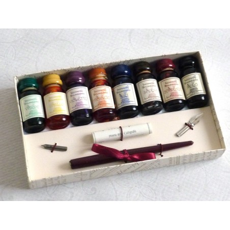 Wooden Dip Pen 8 Inks and 2 Nibs