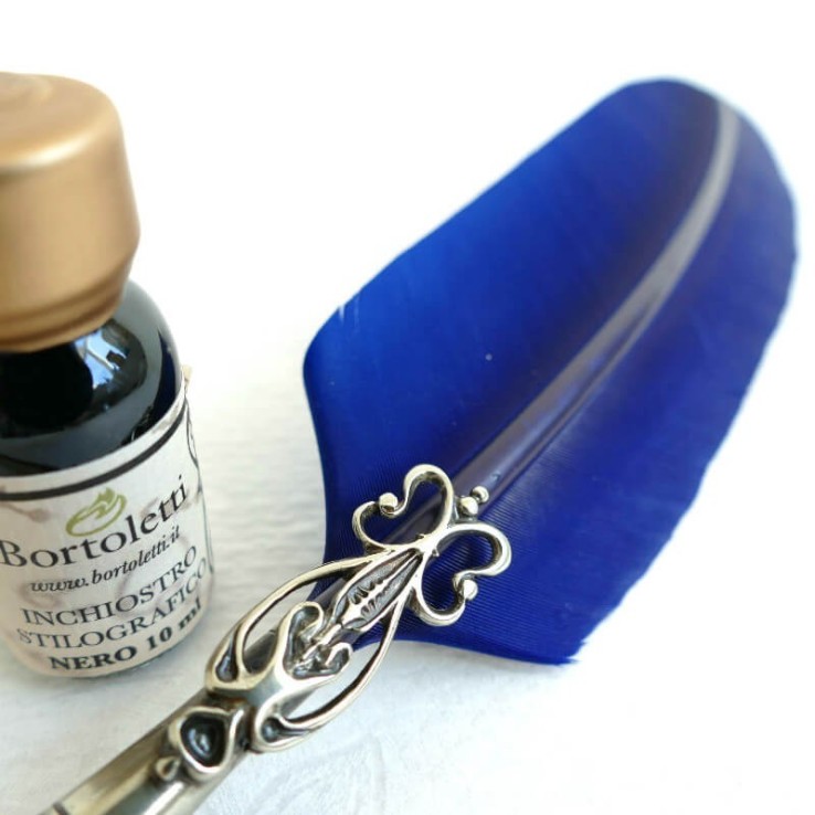 Ganzenveren pen, twee tips en inkt Ganzenveren pen, twee tips en inkt