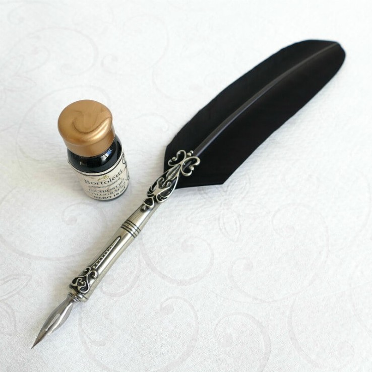 Ganzenveren pen, twee tips en inkt Ganzenveren pen, twee tips en inkt