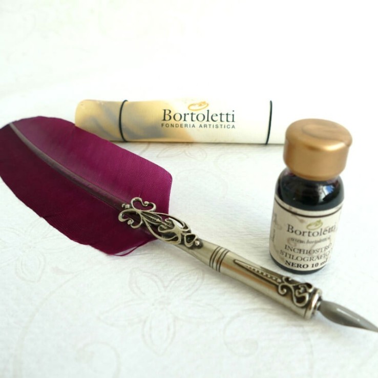 Ganzenveren pen, twee tips en inkt Ganzenveren pen, twee tips en inkt