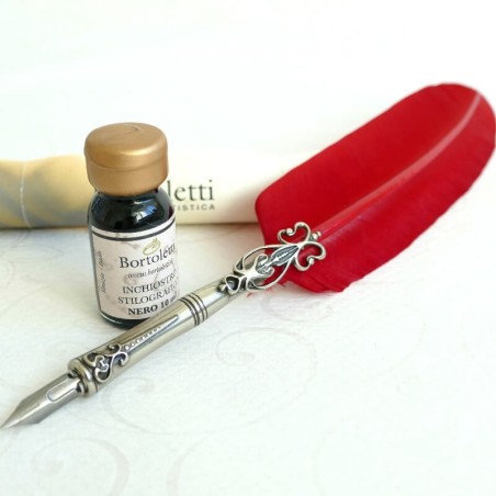 Plume d'oie, deux pointes et encre