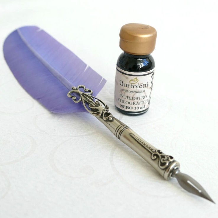 Ganzenveren pen, twee tips en inkt Ganzenveren pen, twee tips en inkt