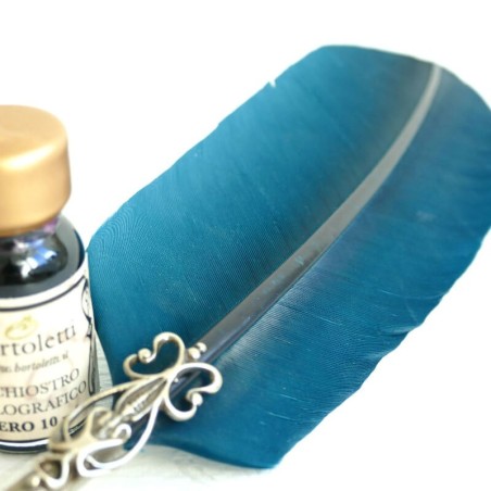 Ganzenveren pen, twee tips en inkt