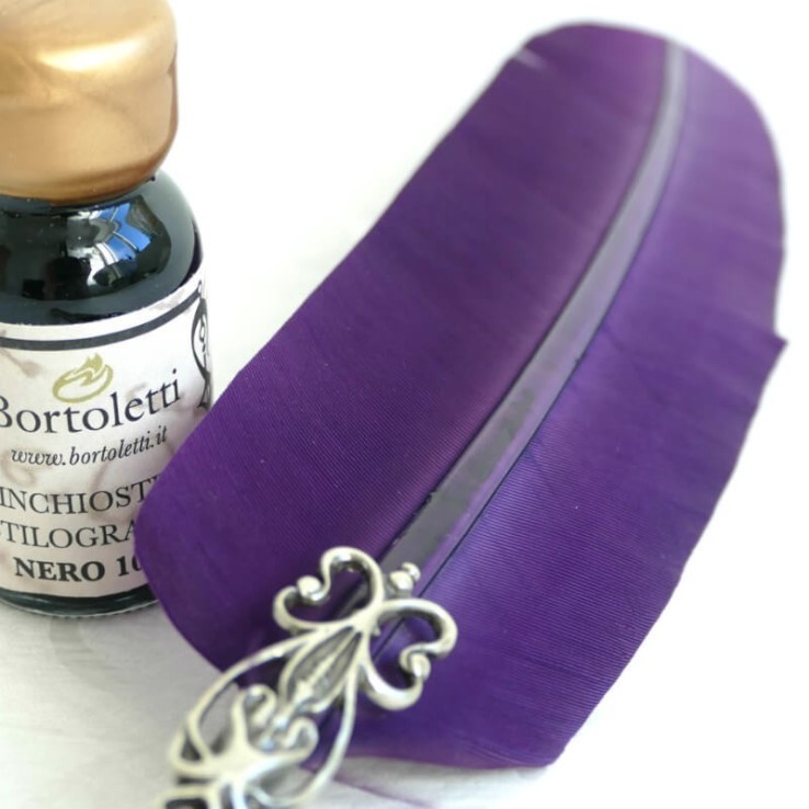 Gansfederstift, zwei Spitzen und Tinte Gansfederstift, zwei Spitzen und Tinte