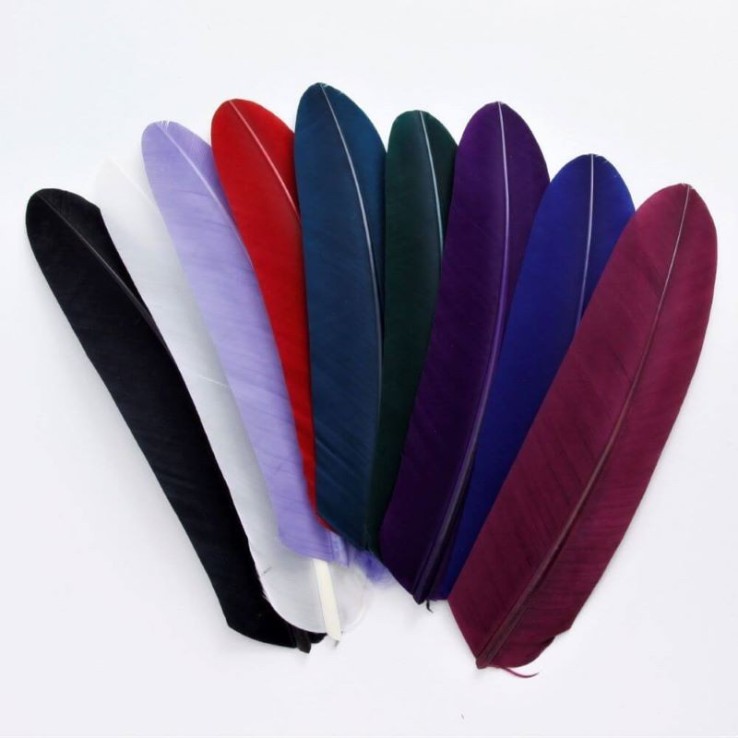 Pluma de canilla y tinta Pluma de canilla y tinta