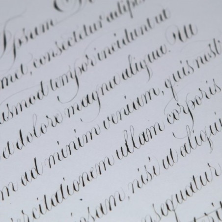 Schwarzer spitzer Tintenkalligraphie-Schriftzug