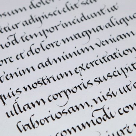 Calligraphie italique écrit en utilisant PAScribe encre à bord noir