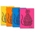 Carte di gatto - colori vivaci