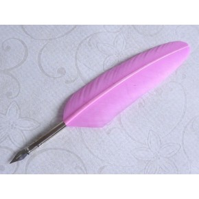 Penna piuma rosa, 3 inchiostri, 6 pennini