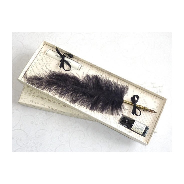 Penna calligrafica piuma di struzzo - Nera