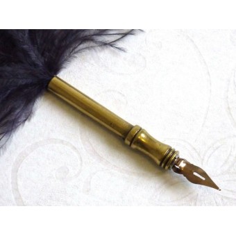 Penna calligrafica piuma di struzzo - Nera