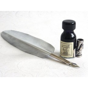 Silver feather calligraphy pen set